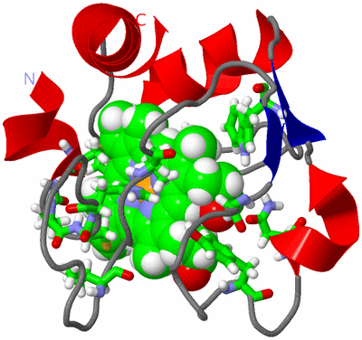 Image NMR Structure - model 1, sites