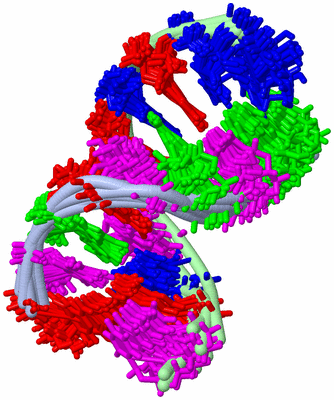 Image NMR Structure - all models