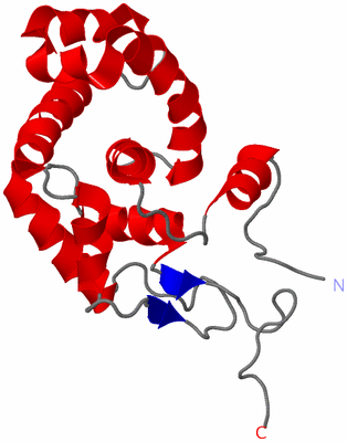 Image NMR Structure - model 1