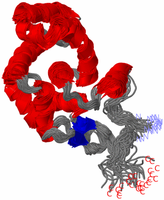 Image NMR Structure - all models