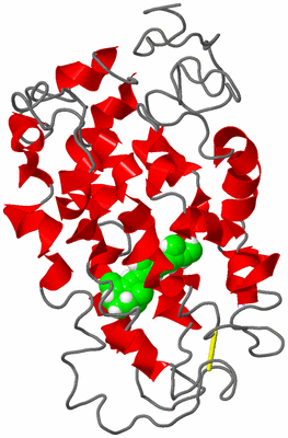 Image NMR Structure - model 1