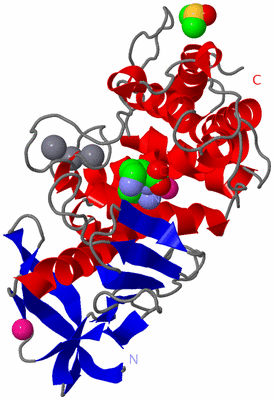 Image Asym./Biol. Unit