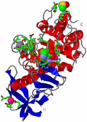 Image Asym./Biol. Unit - sites