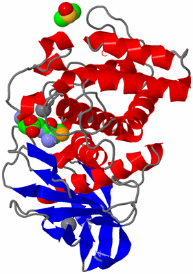 Image Asym./Biol. Unit