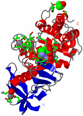 Image Asym./Biol. Unit - sites