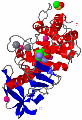 Image Asym./Biol. Unit