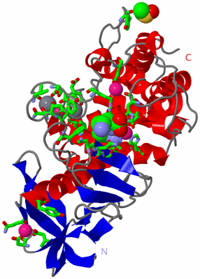 Image Asym./Biol. Unit - sites