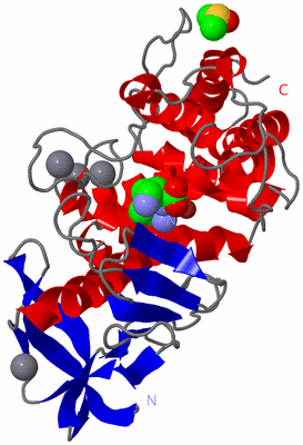 Image Asym./Biol. Unit