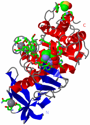 Image Asym./Biol. Unit - sites