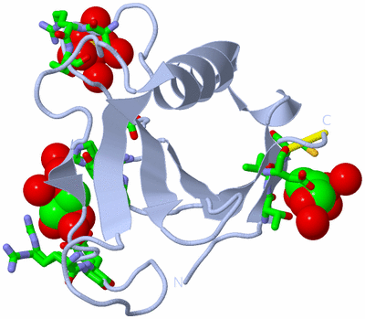 Image Biol. Unit 1 - sites