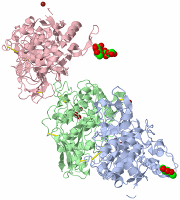 Image Asymmetric Unit