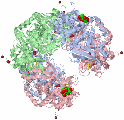 Image Biological Unit 1