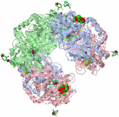 Image Biol. Unit 1 - sites