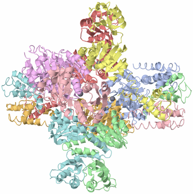 Image Asym./Biol. Unit