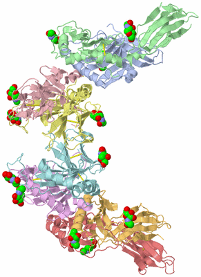 Image Asymmetric Unit