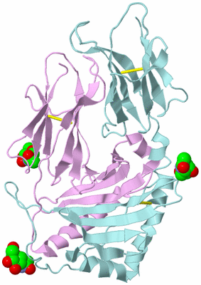 Image Biological Unit 3