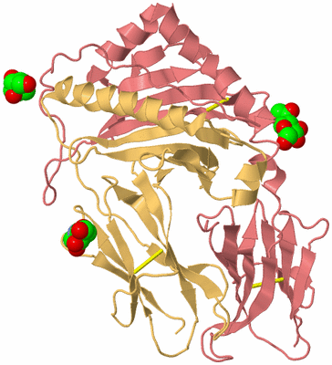 Image Biological Unit 4