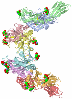 Image Asym. Unit - sites