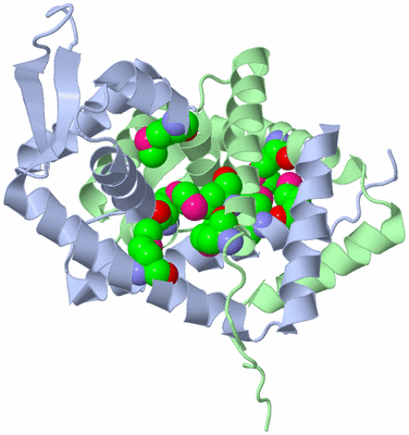 Image Biological Unit 1