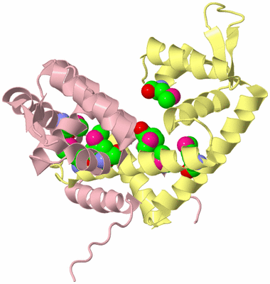 Image Biological Unit 2