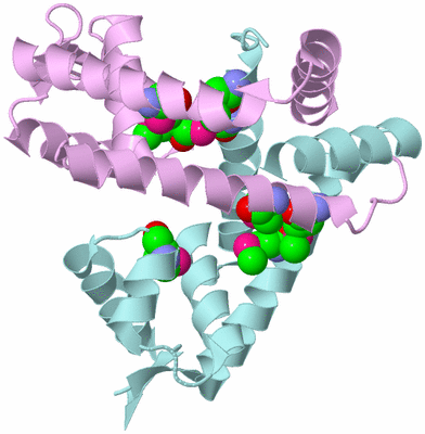 Image Biological Unit 3