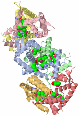 Image Biological Unit 5