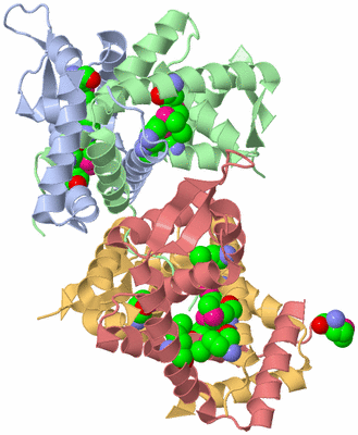 Image Biological Unit 6