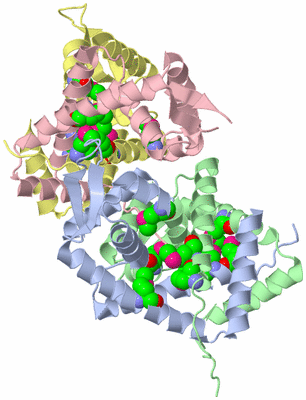 Image Biological Unit 7