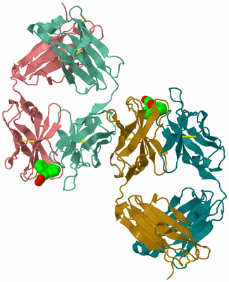 Image Asymmetric Unit
