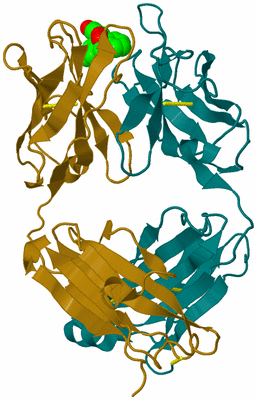 Image Biological Unit 1