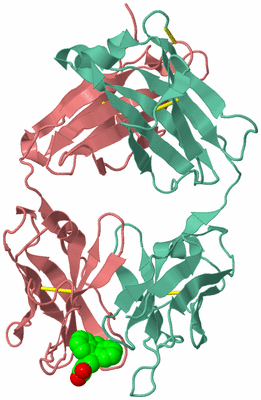 Image Biological Unit 2