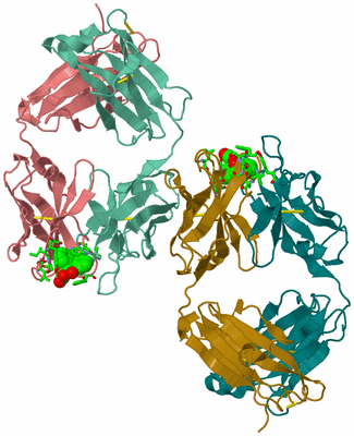 Image Asym. Unit - sites