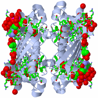 Image Biol. Unit 1 - sites