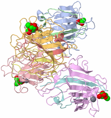 Image Asymmetric Unit