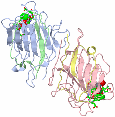 Image Biol. Unit 1 - sites