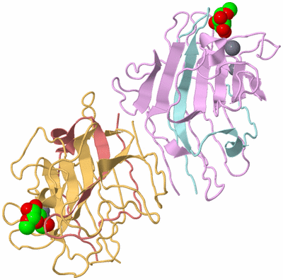 Image Biological Unit 2