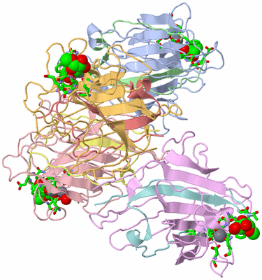 Image Asym. Unit - sites