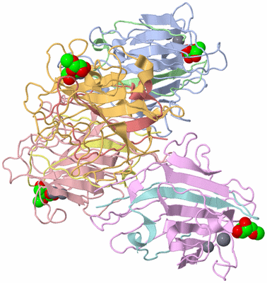 Image Asymmetric Unit