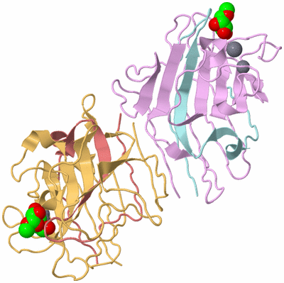 Image Biological Unit 2