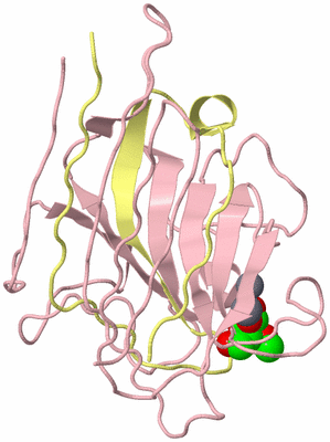 Image Biological Unit 3