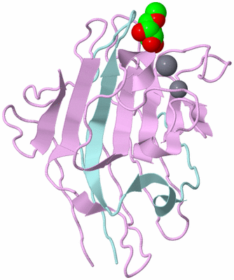 Image Biological Unit 4