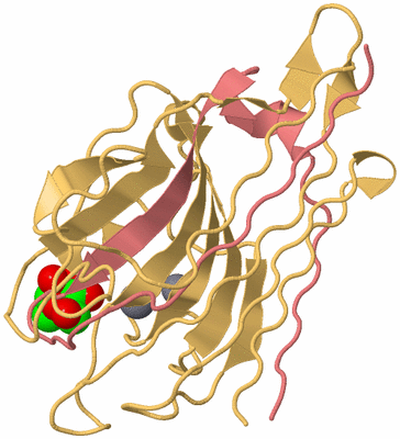 Image Biological Unit 5