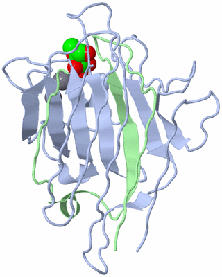 Image Biological Unit 6