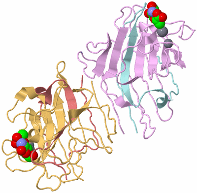 Image Biological Unit 2