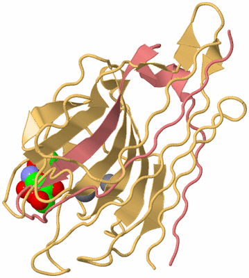 Image Biological Unit 3