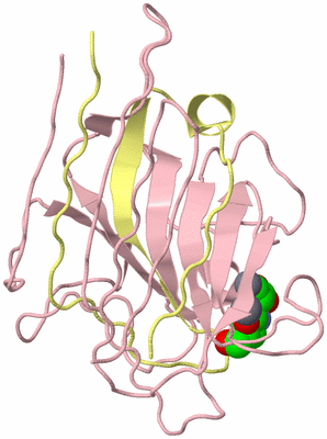 Image Biological Unit 4