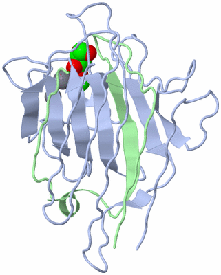 Image Biological Unit 5