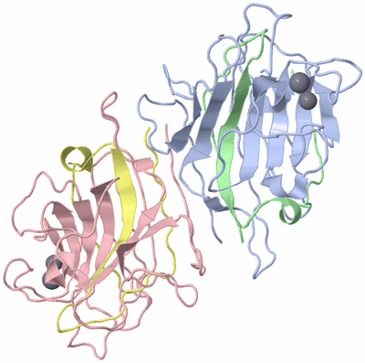 Image Biological Unit 1