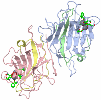 Image Biol. Unit 1 - sites