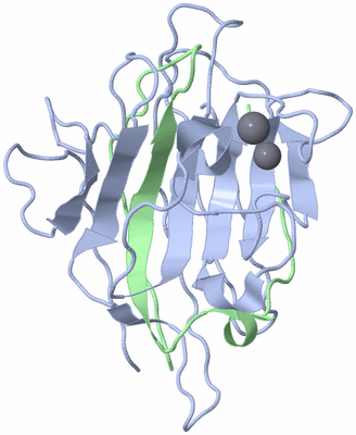 Image Biological Unit 3